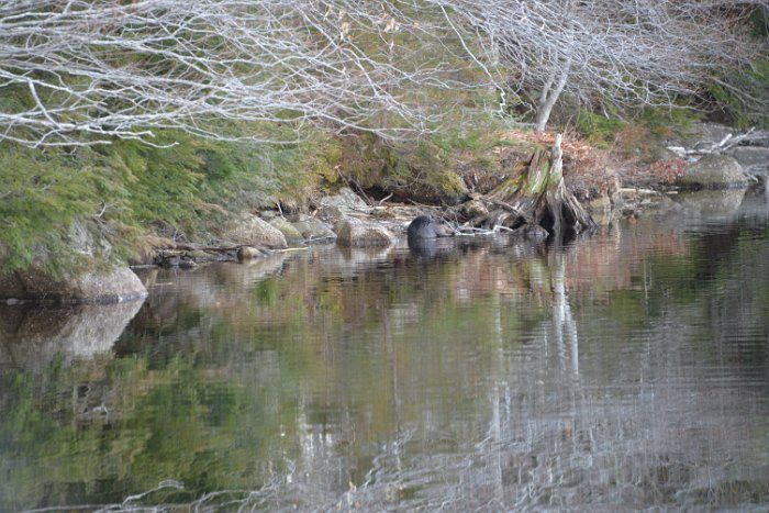 Besichtigung April 2015 (44)